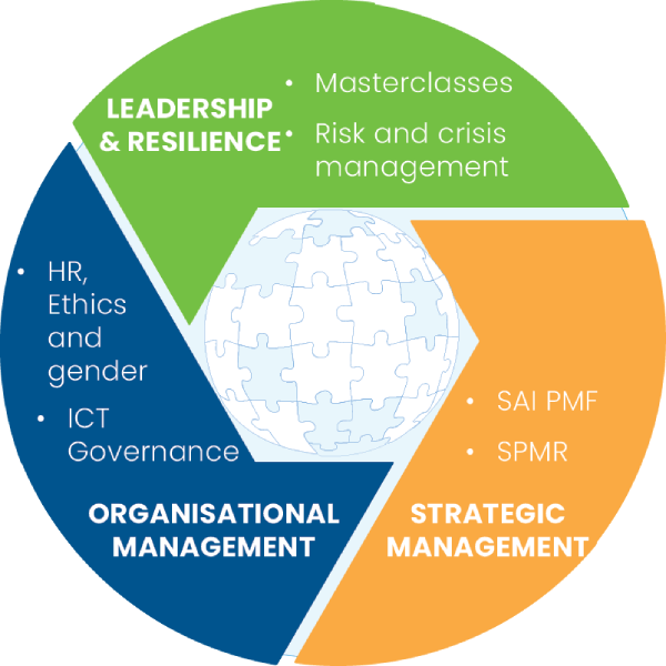 well-governed-sais-infographic